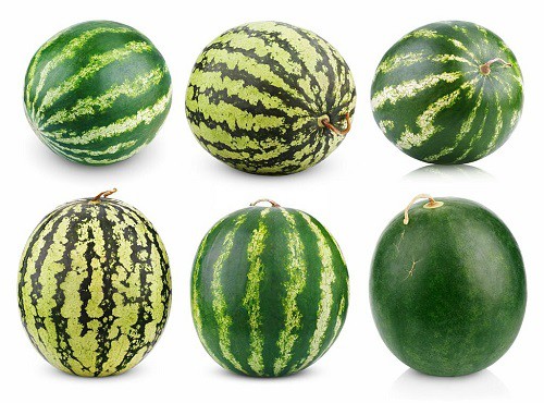 watermelon-varieties-for-tennessee