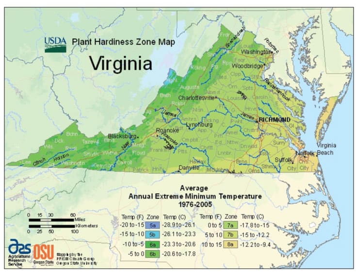 zone-map-for-planting-carrots-in-virginia
