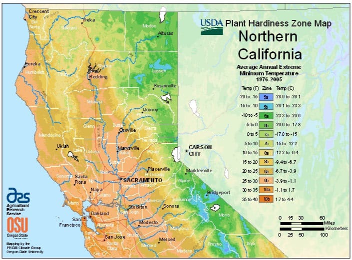 zone-map-for-planting-iris-bulbs-in-norther-california