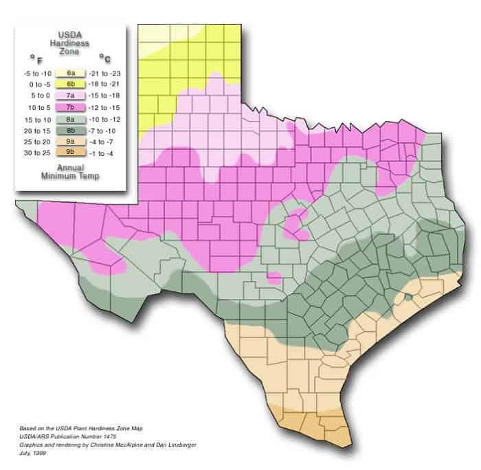 zone-map-for-planting-iris-bulbs-in-texas