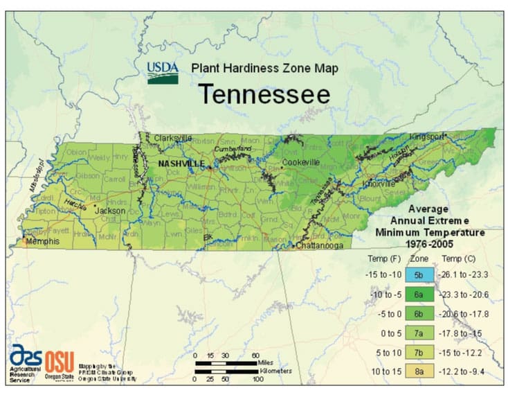 zone-map-for-planting-onions-in-tennessee