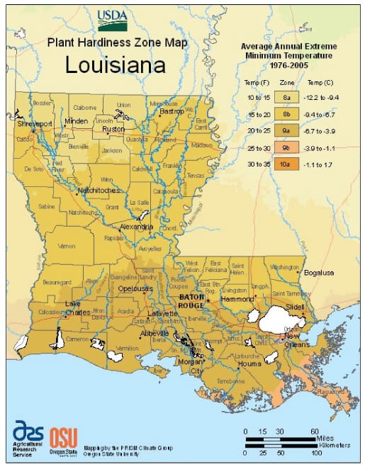 zone-map-for-planting-strawberries-in-louisiana